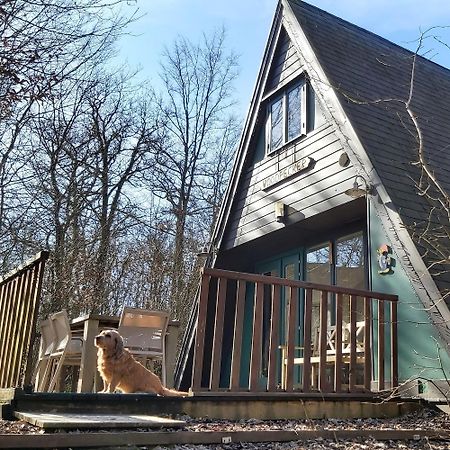 Woodpecker - Bungalow 29 Дюрбюи Экстерьер фото