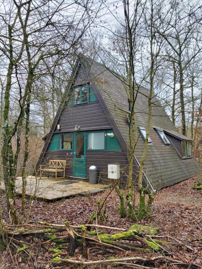 Woodpecker - Bungalow 29 Дюрбюи Экстерьер фото